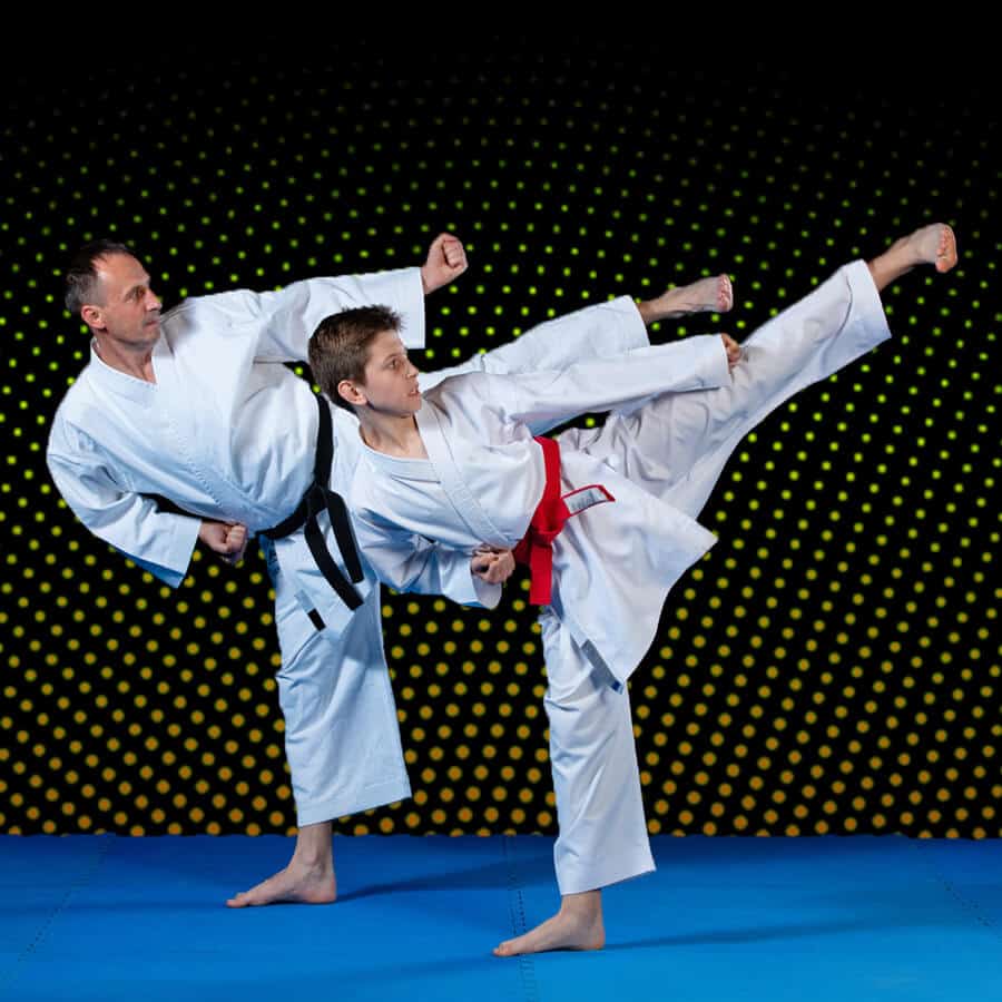 Martial Arts Lessons for Families in Ladera Ranch CA - Dad and Son High Kick