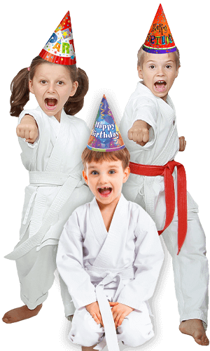 Martial Arts Birthday Party for Kids in Ladera Ranch CA - Birthday Punches Page Banner